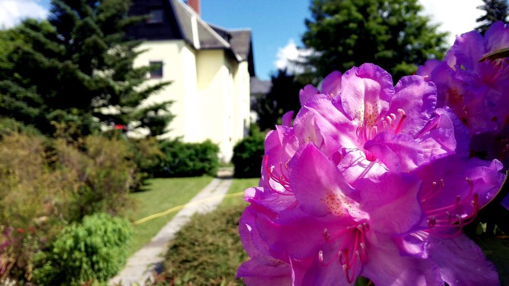 Ferienhotel アウグストゥスブルク エクステリア 写真