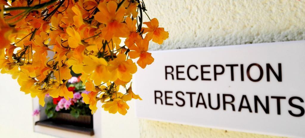Ferienhotel アウグストゥスブルク エクステリア 写真